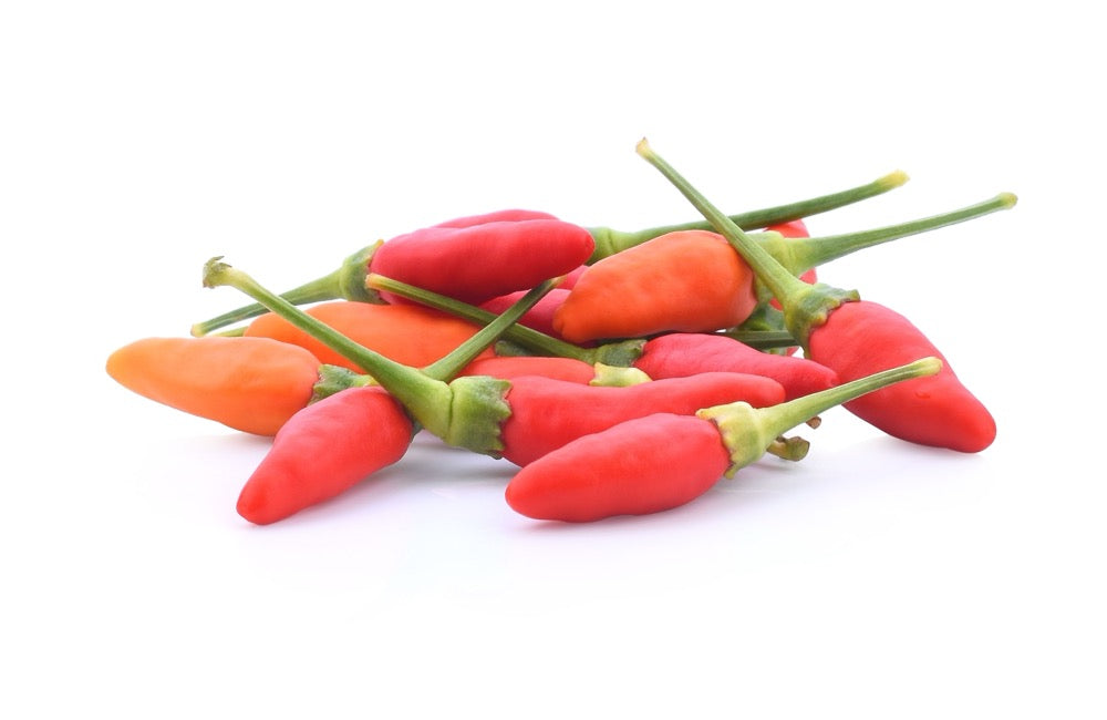"I'll Be Back' Peri Peri Sauce – Bold, Fiery & Irresistible 🔥